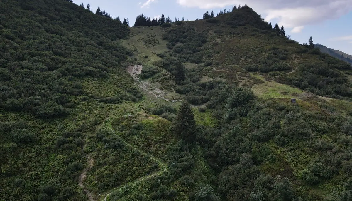 Schwendfläche am Dreifahnenkopf | © Naturpark Nagelfluhkette