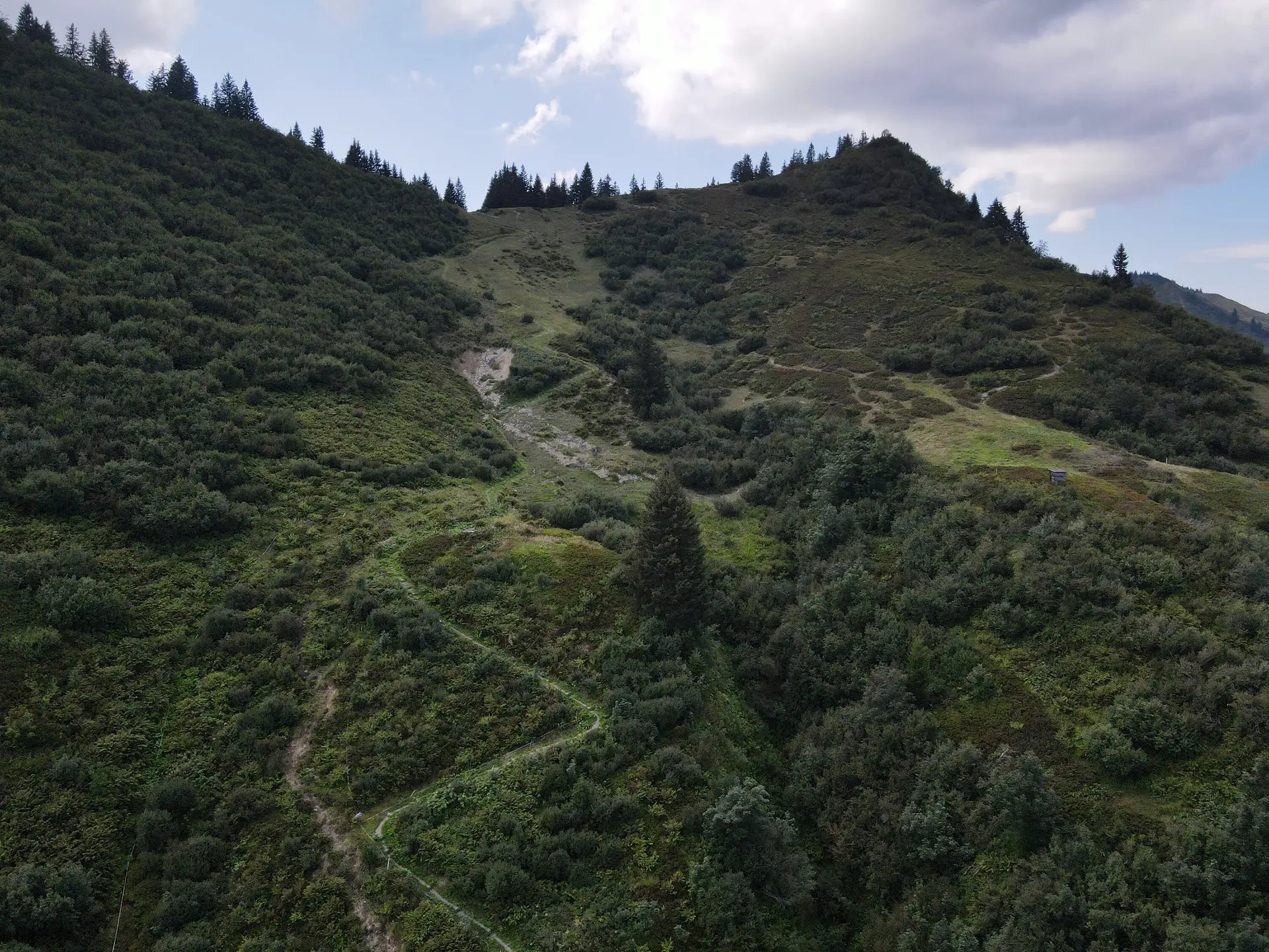Schwendfläche am Dreifahnenkopf | © Naturpark Nagelfluhkette