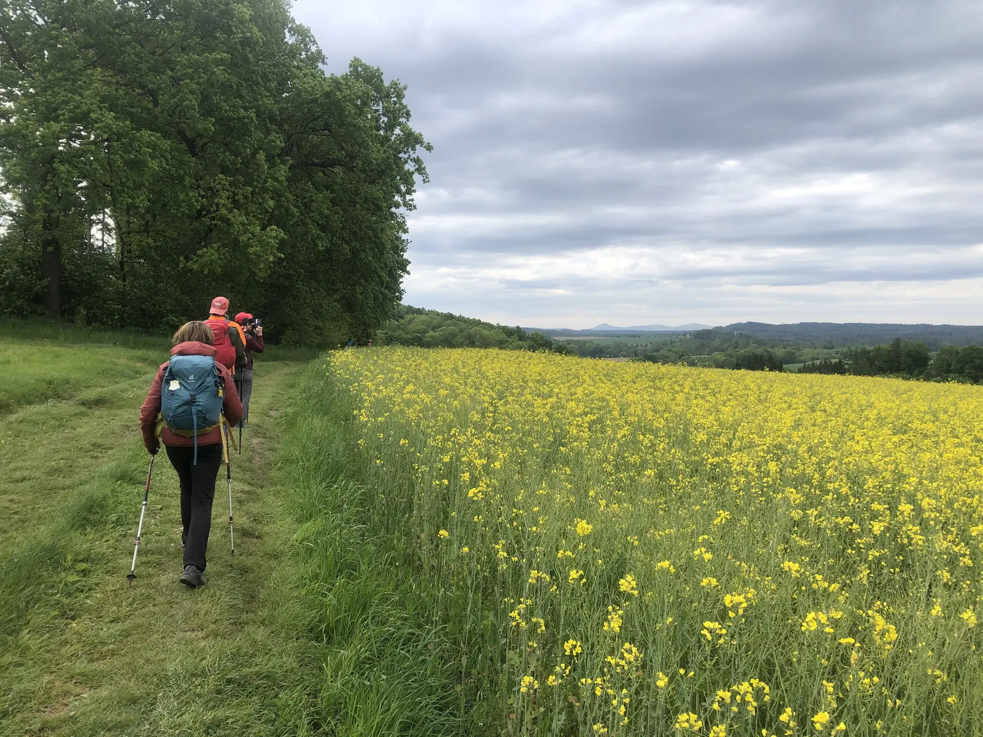Oberlausitzer Bergweg | © Dagmar Franz