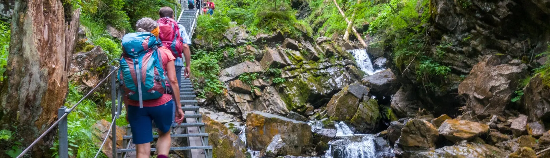 Geißfuß-Rubihorn | © Dieter Merrath