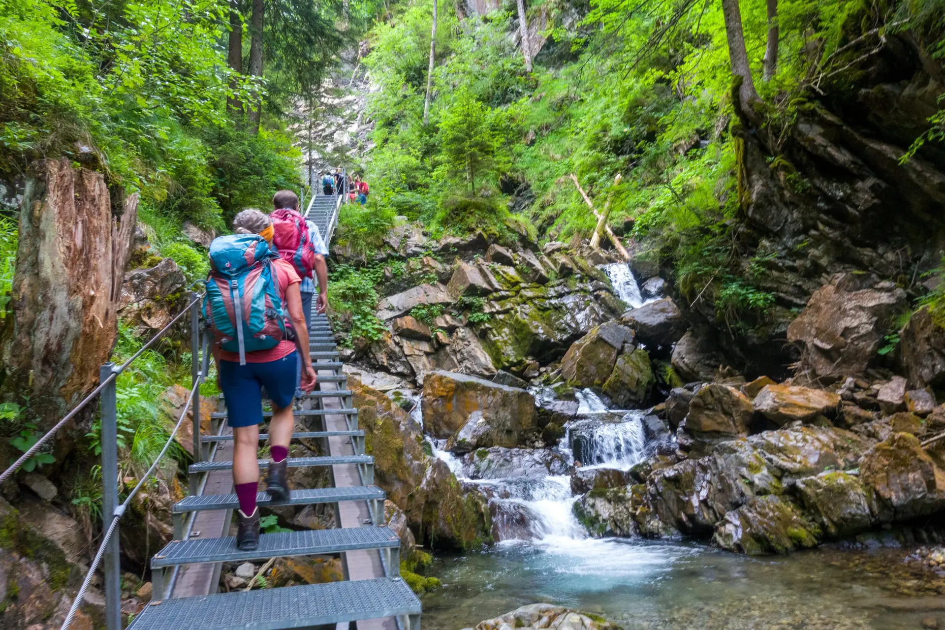 Geißfuß-Rubihorn | © Dieter Merrath