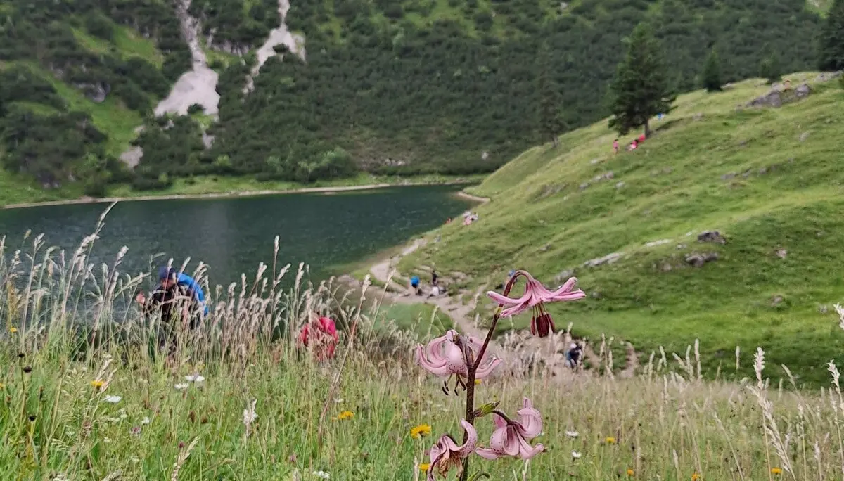 Geißfuß-Rubihorn | © Dieter Merrath