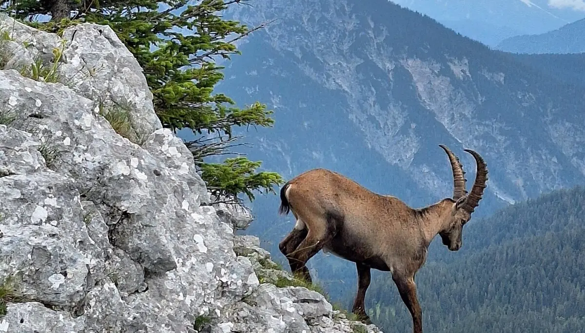 Niederstraußberg | © Dieter Merrath