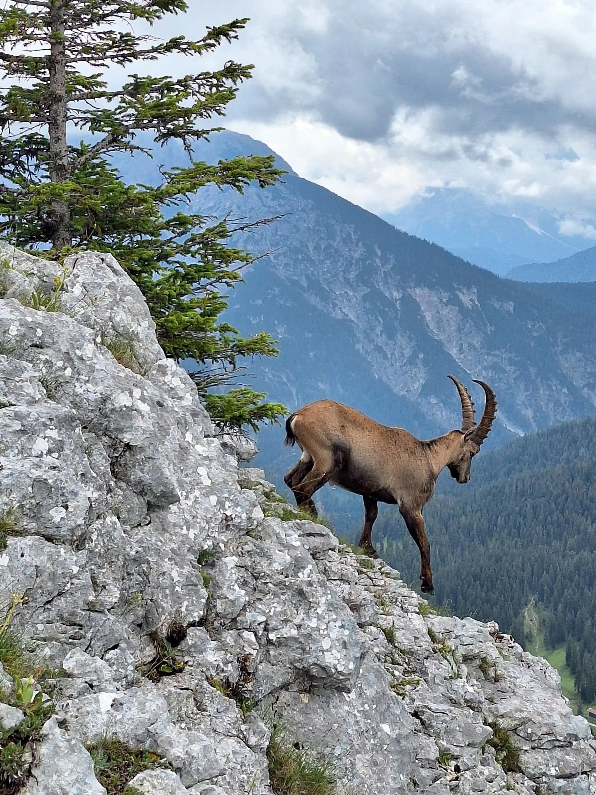 Niederstraußberg | © Dieter Merrath