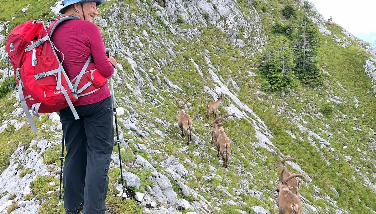 Niederstraußberg | © Dieter Merrath