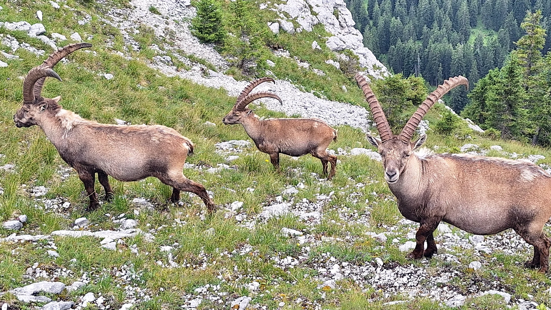 Niederstraußberg | © Dieter Merrath
