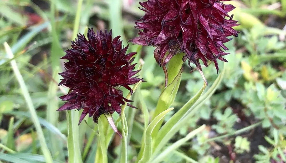 Saalfelder Höhenweg | © Dagmar Franz 