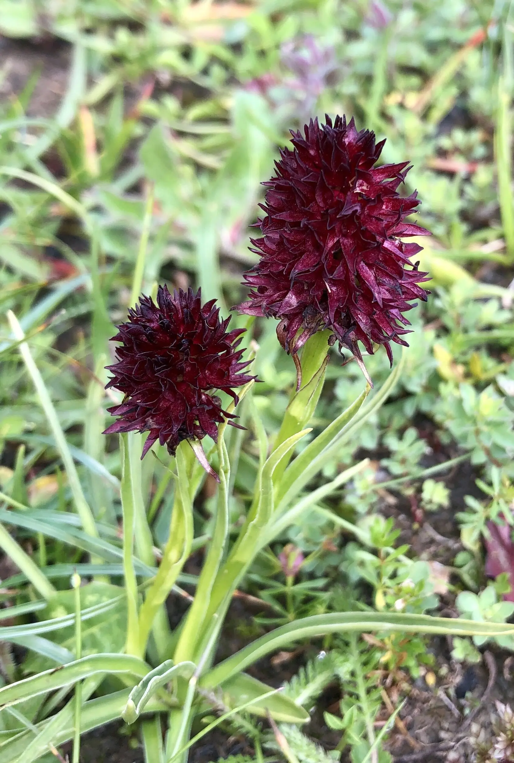 Saalfelder Höhenweg | © Dagmar Franz 