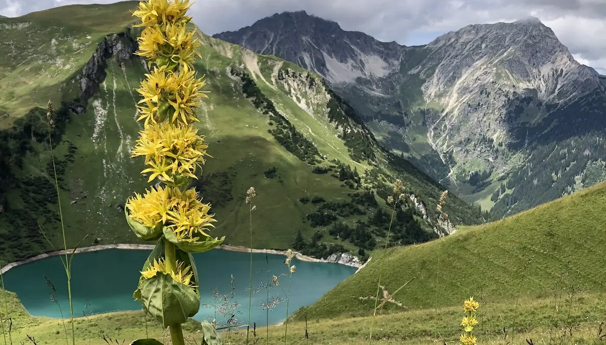 Saalfelder Höhenweg | © Dagmar Franz