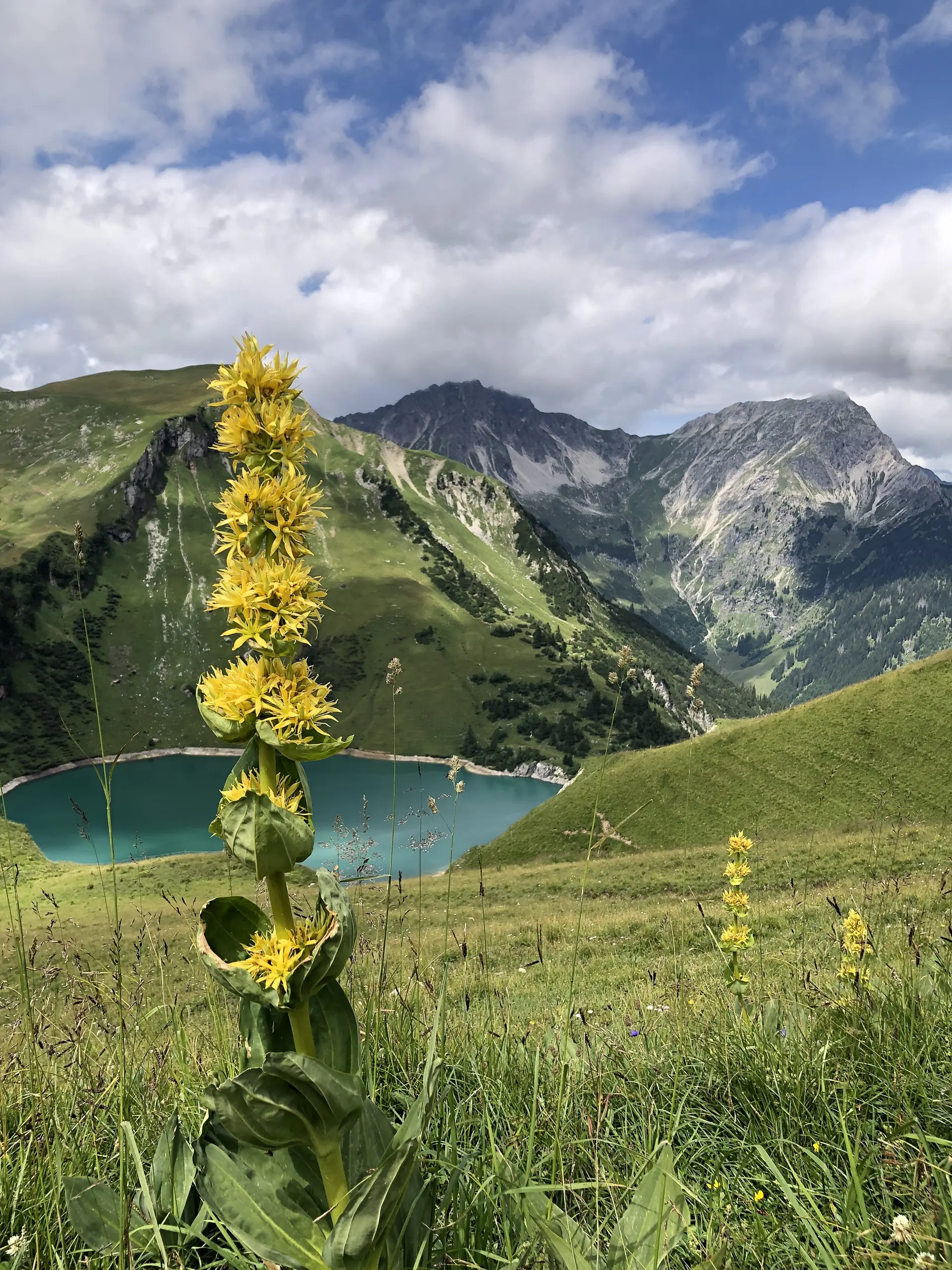 Saalfelder Höhenweg | © Dagmar Franz