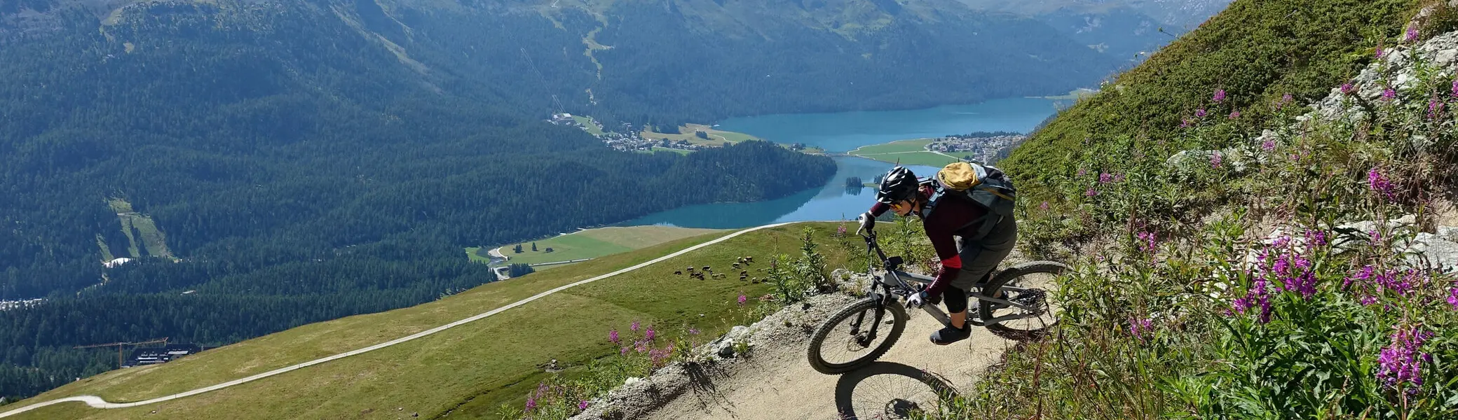 Ausblick beim Biken am Silvaplanersee | © Allgäu-Immenstadt 