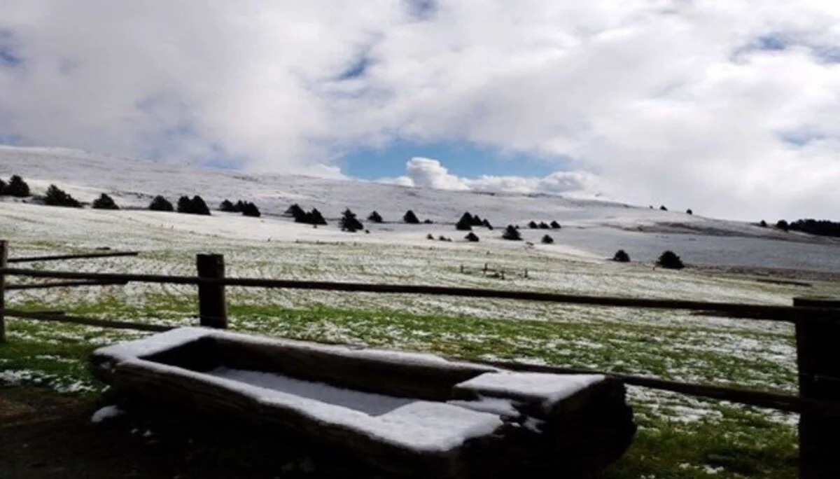 der erste Schnee | © Christiane Dreissig