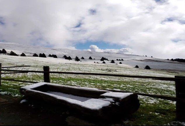 der erste Schnee | © Christiane Dreissig