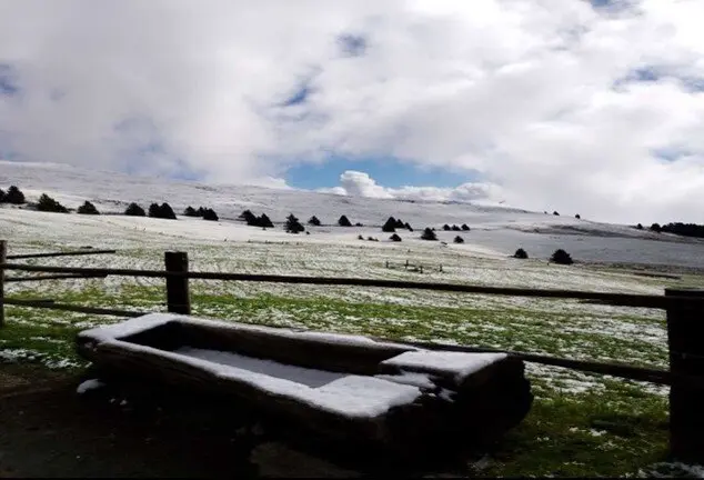 der erste Schnee | © Christiane Dreissig