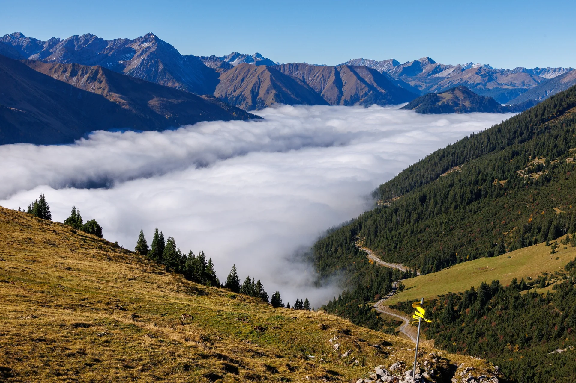 An der Querung des Alpenrosensteigs blicken wir zurück auf das Wolkenmeer über dem Fernpass. | © Robert Martin 