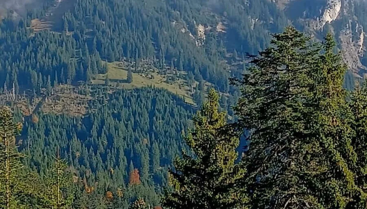 Aggenstein mit Nebelfetzen | © Manfred Huber