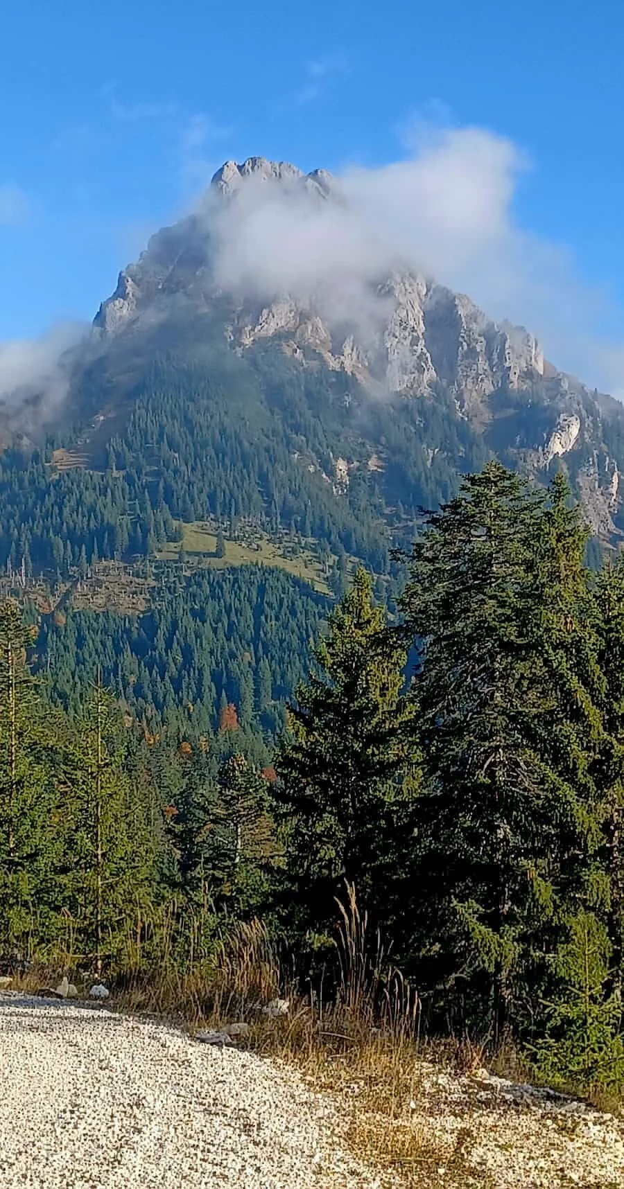 Aggenstein mit Nebelfetzen | © Manfred Huber