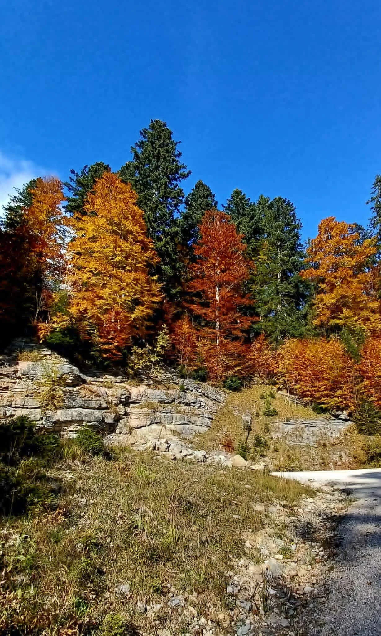 Buntes Herbstlaub | © Manfred Huber 