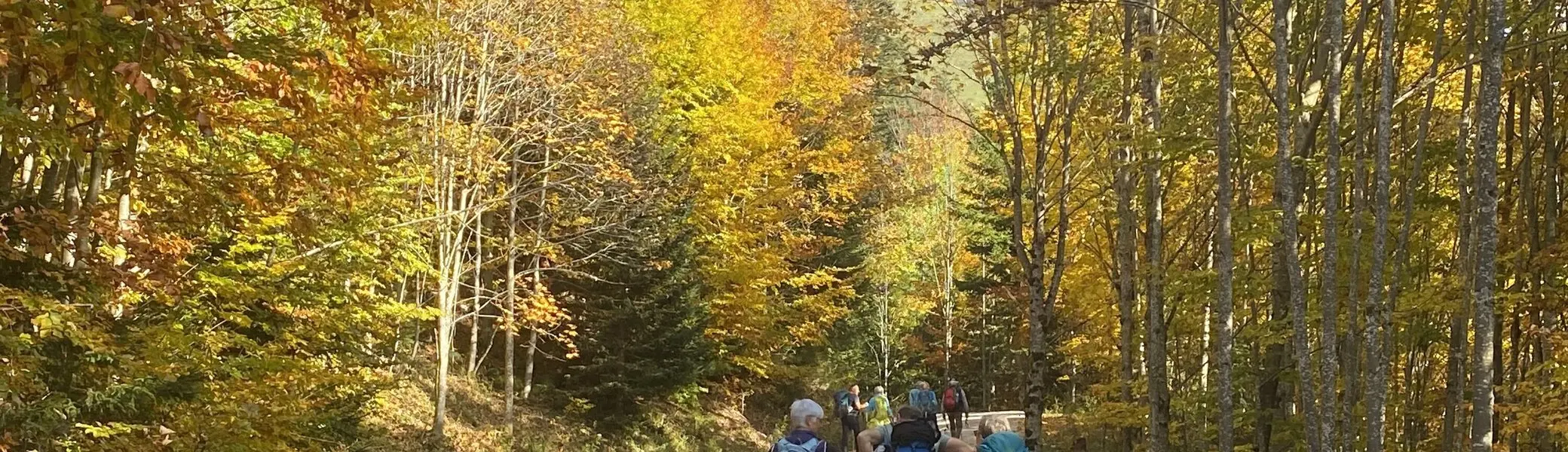 Indian Summer im Allgäu | © Manfred Huber 