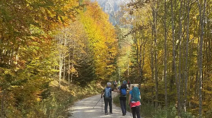 Indian Summer im Allgäu | © Manfred Huber 