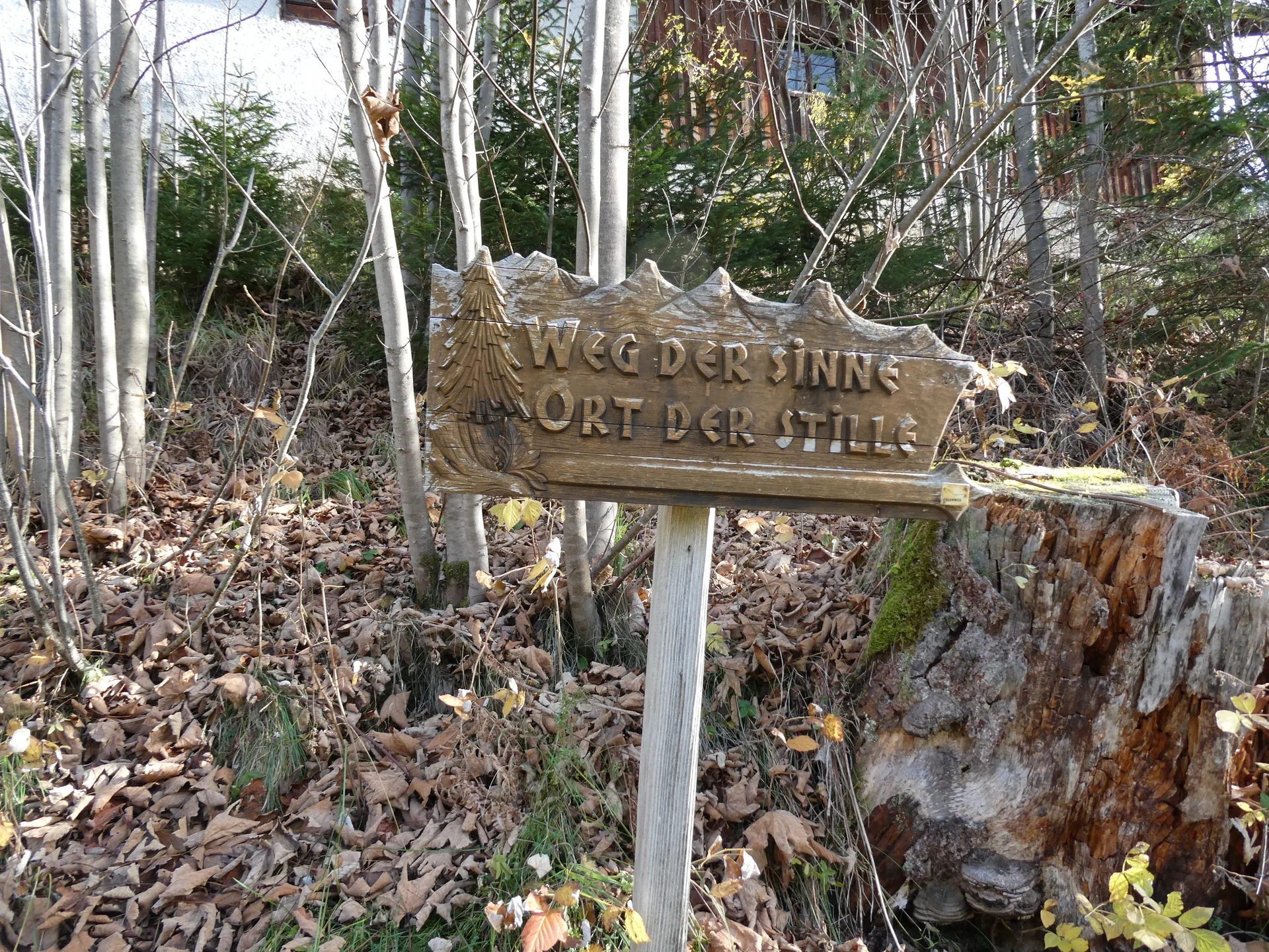 Holzschild "Weg der Sinne" | © Jana Kees