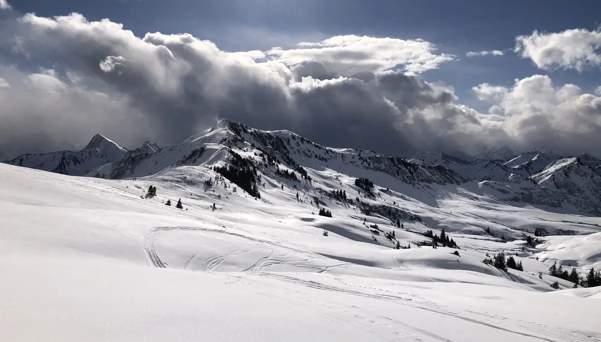 Schneeschuhtage im Bregenzer Wald | © Dagmar Franz