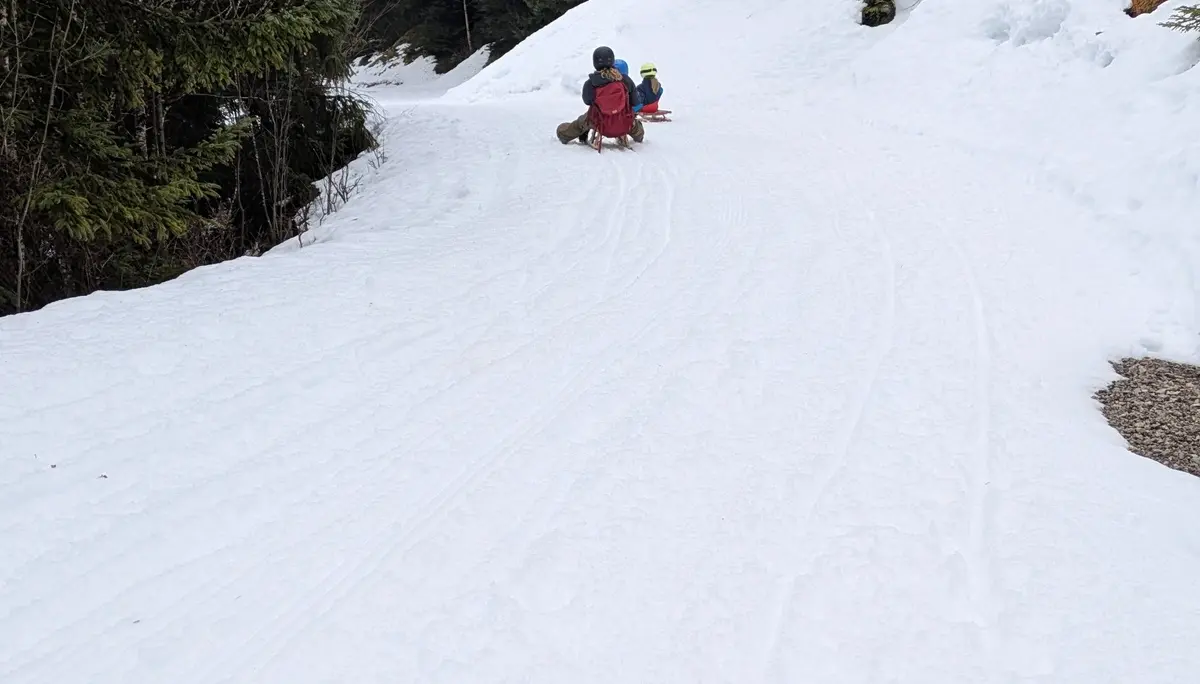 Abfahrt beim Rodeln für Junge und Jungggebliebene | © DAV Allgäu-Immenstadt 