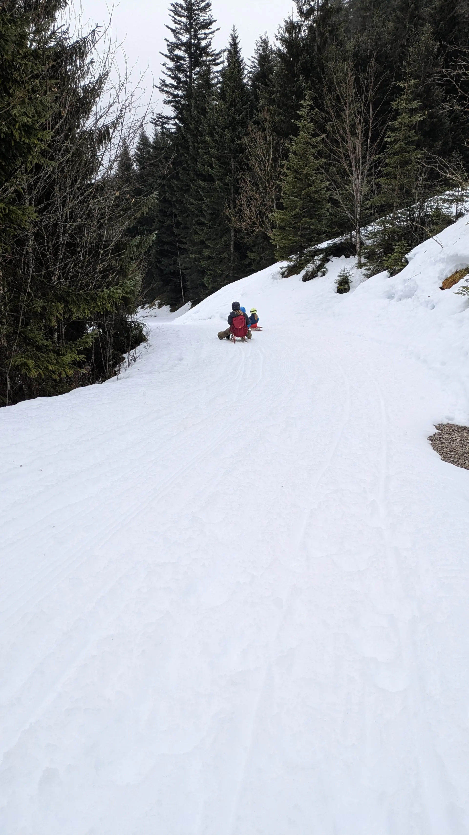 Abfahrt beim Rodeln für Junge und Jungggebliebene | © DAV Allgäu-Immenstadt 