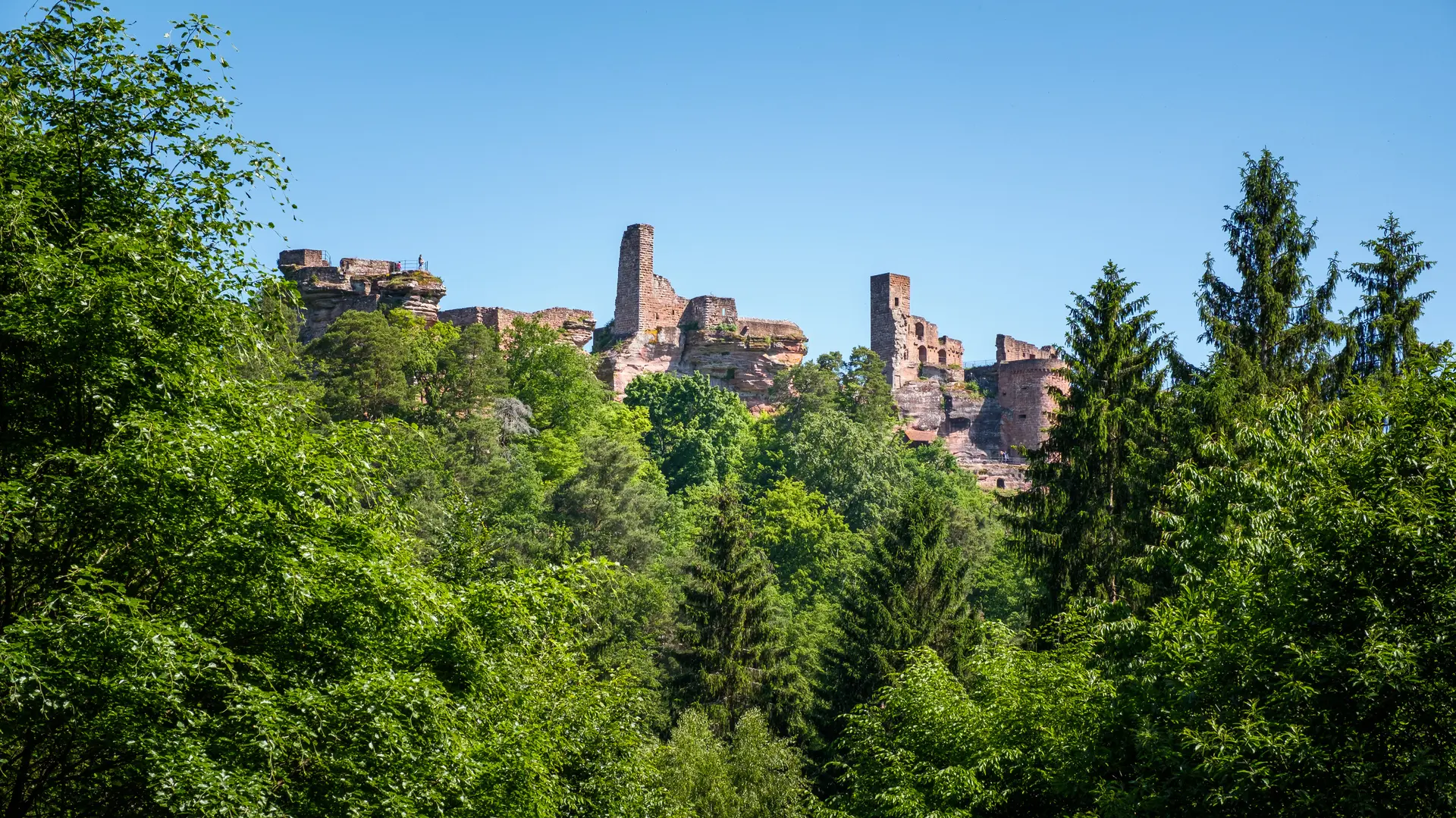 Aussicht  | © Caro Wolf 