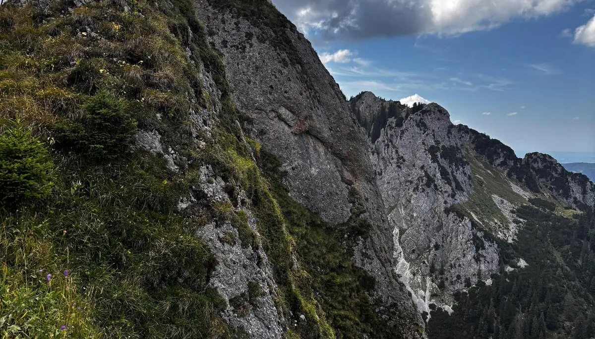 Ammergauer | © DAV Allgäu Immenstadt 