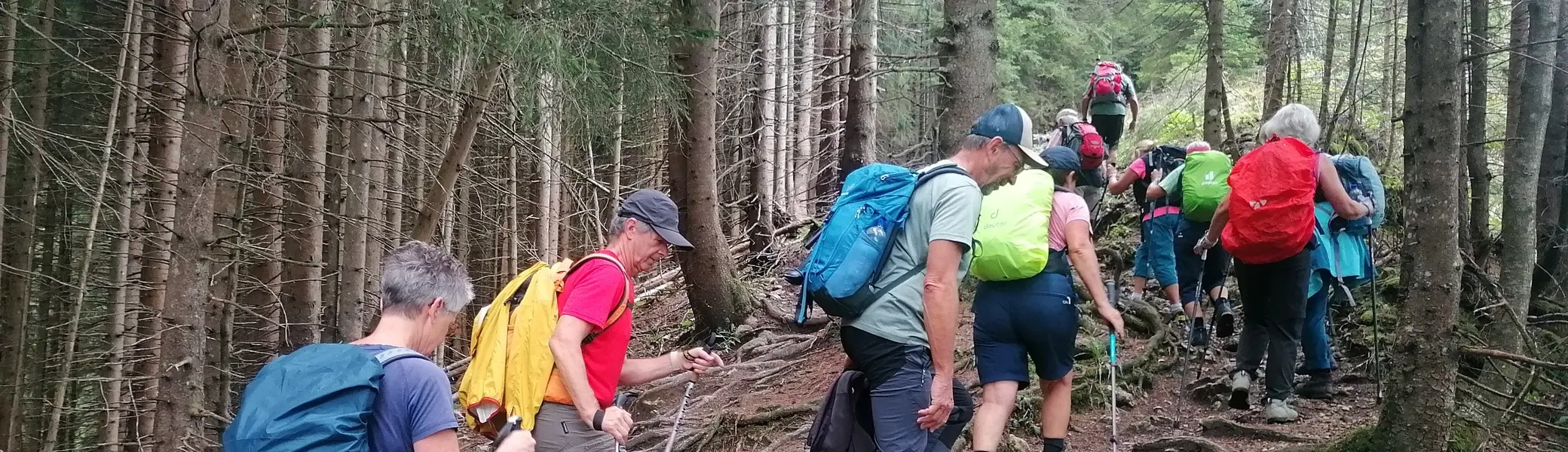 Bergsteiger wandern durch den Wald  | © DAV Allgäu Immenstadt 