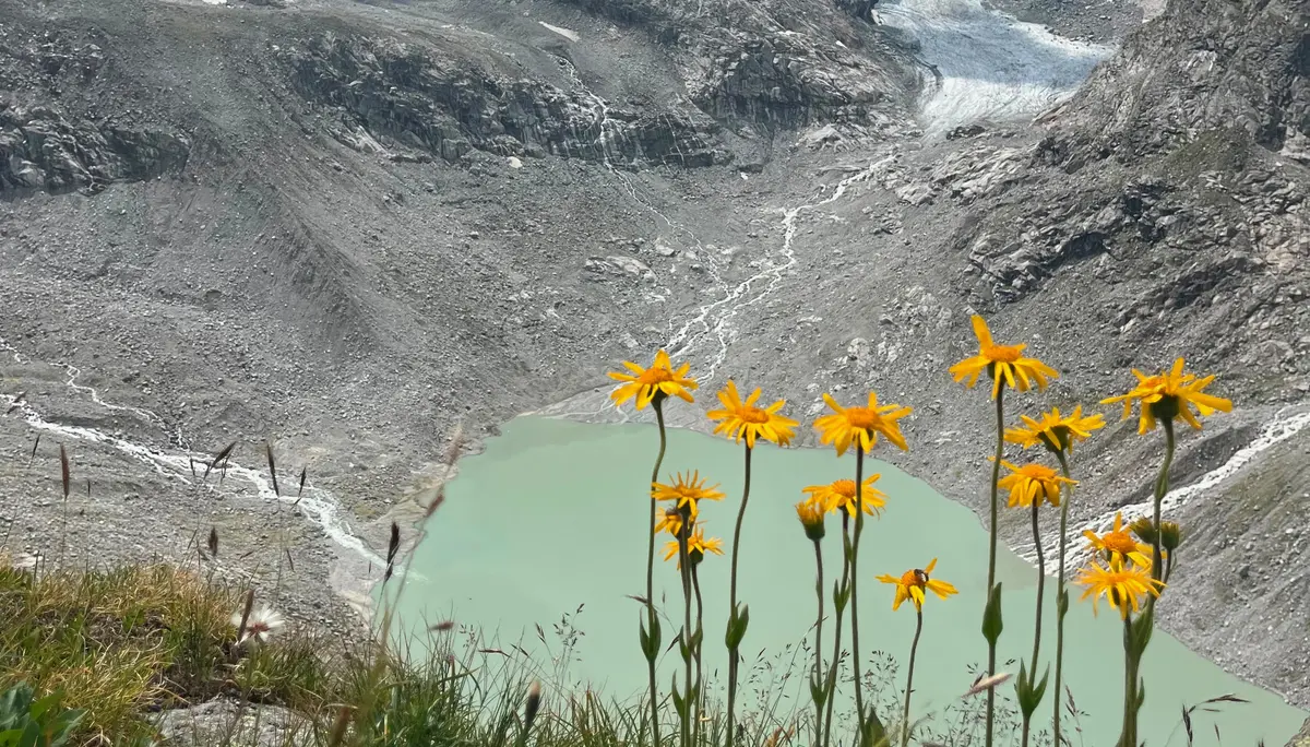 Bergsee mit Felsen und Gletscher im Hintergrund  | © DAV Allgäu Immenstadt