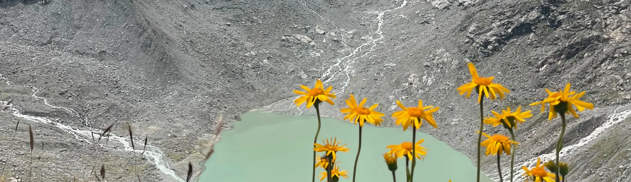 Bergsee mit Felsen und Gletscher im Hintergrund  | © DAV Allgäu Immenstadt