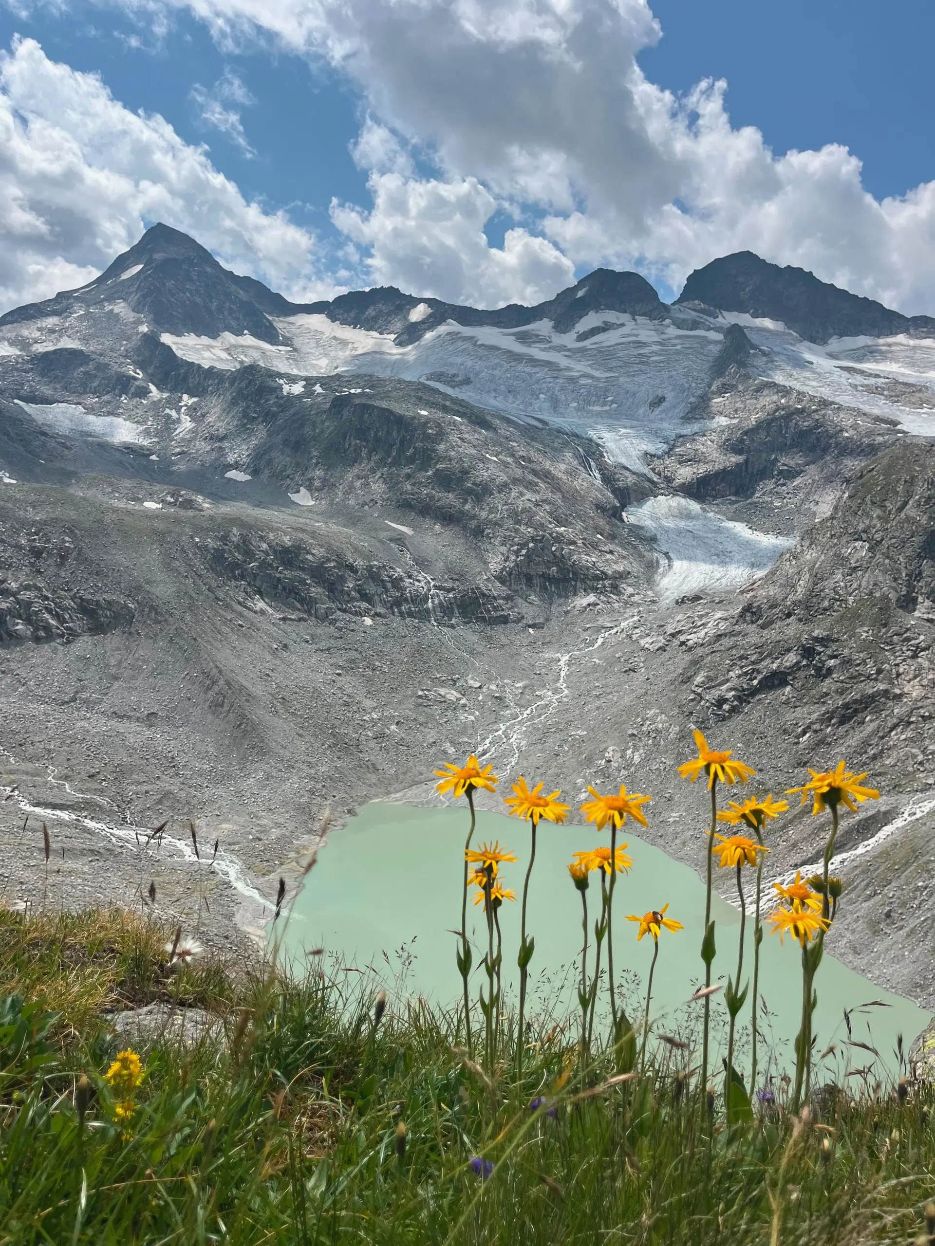Bergsee mit Felsen und Gletscher im Hintergrund  | © DAV Allgäu Immenstadt