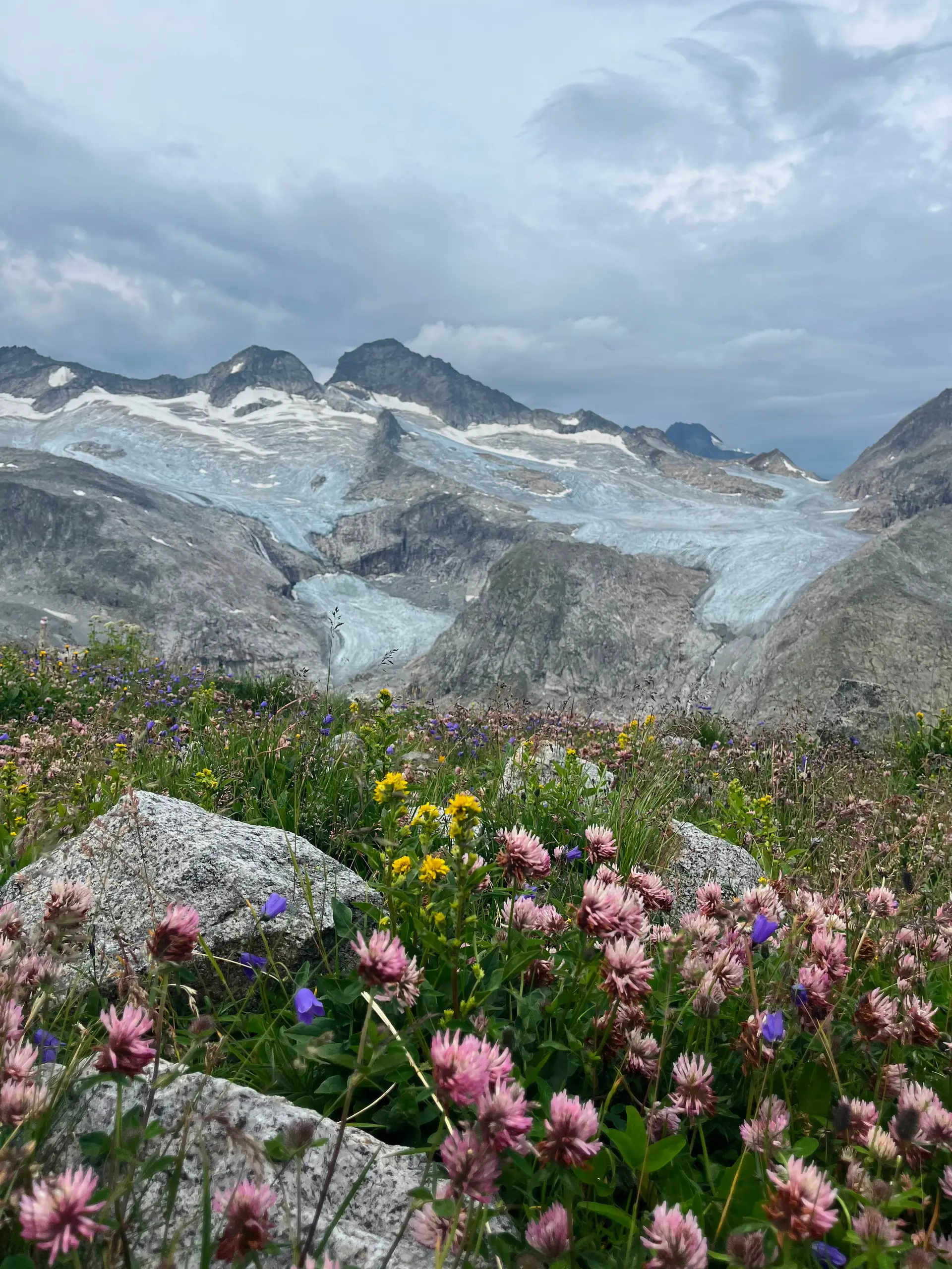 Wildblumen und Getscher  | © DAV Allgäu Immenstadt 