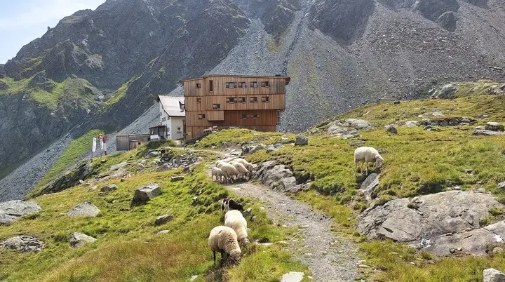 Hütte mit Schafen im Vordergrund  | © DAV Allgäu Immenstadt 
