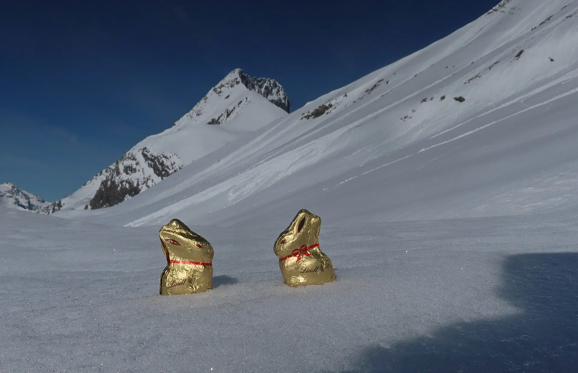 Osterskitouren Ortsgruppe Bad Wörishofen um Bever | © DAV Allgäu-Immenstadt 