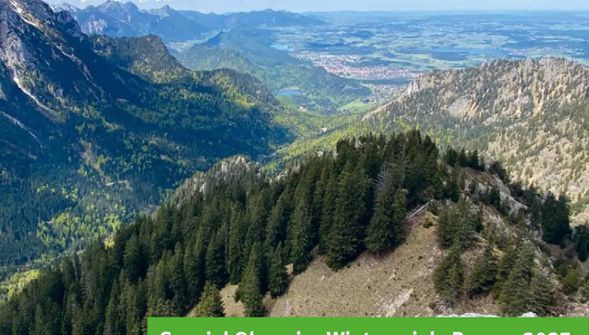 Titelbild Sektionsmagazin Sommer 2026 | © DAV Allgäu-Immenstadt