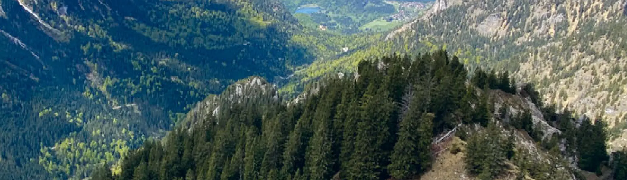 Titelbild Sektionsmagazin Sommer 2026 | © DAV Allgäu-Immenstadt