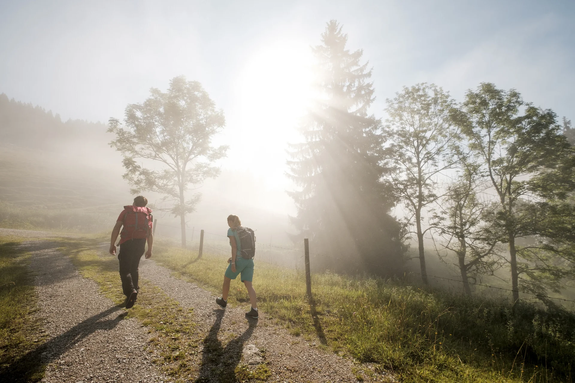 Gemeinsame Wanderung im Chiemgau | © DAV/Hans Herbig Gemeinsamer Aufstieg bei Sonnenaufgang - die Sonne scheint durch den Nebel | © DAV/Hans Herbig